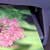 How to Print Your Digital Photographs
